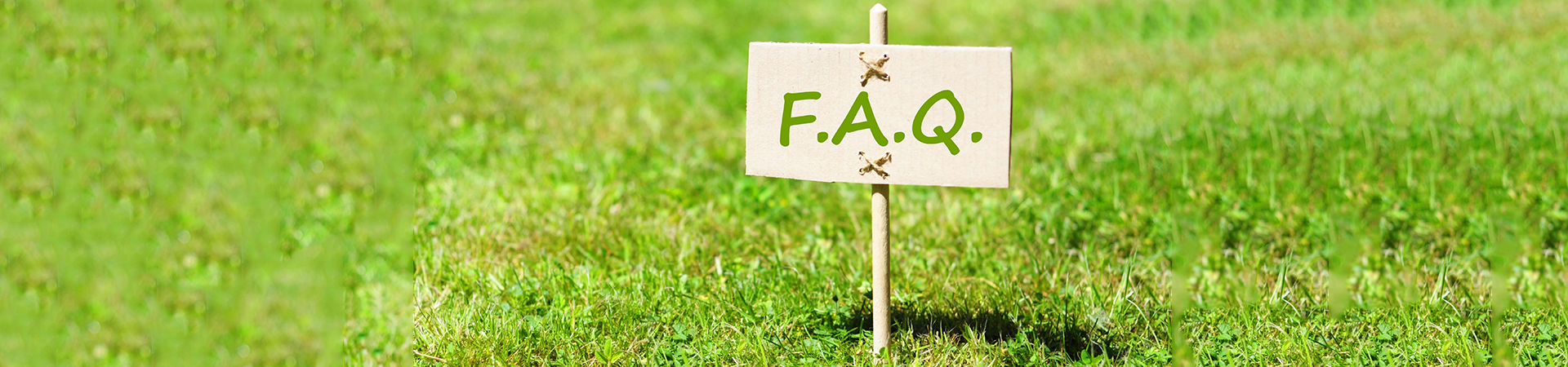 よくあるご質問